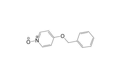 4-Benzyloxypyridine N-oxide