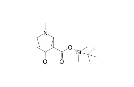 Cocaine-M (ecgonine) TBDMS