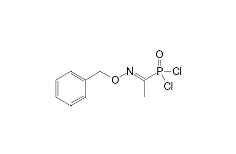 1-BENZYLOXYIMINOPHOSPHONOYL-DICHLORIDE