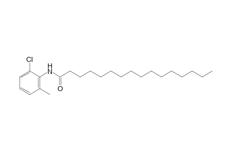 6'-Chloro-o-hexadecanotoluidide