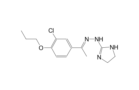 (1E)-1-(3-chloro-4-propoxyphenyl)ethanone 4,5-dihydro-1H-imidazol-2-ylhydrazone