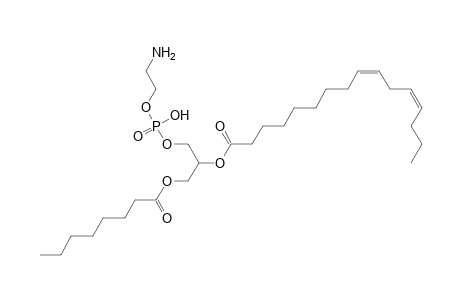 PE 8:0_16:2