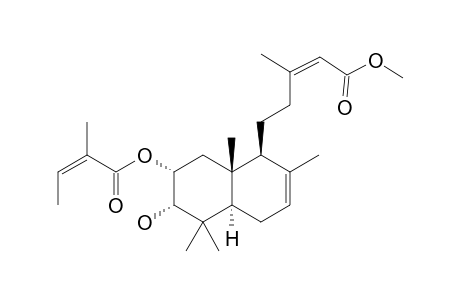 2alpha-Angeloyloxy-3alpha-hydroxy-(13Z)-13,14-didehydro-delta8(17)-cativin acid methyl ester