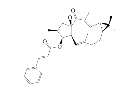 (+)-(5-E,12-E,2-S,3-S,4-S,9-S,11-S,15-R)-3-CINNAMOYLOXYLATHYRA-5,12-DIEN-15-OL-14-ONE