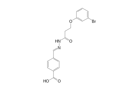N'-(4-carboxybenzylidene)-3-(3-bromophenoxy)propanhydrazide