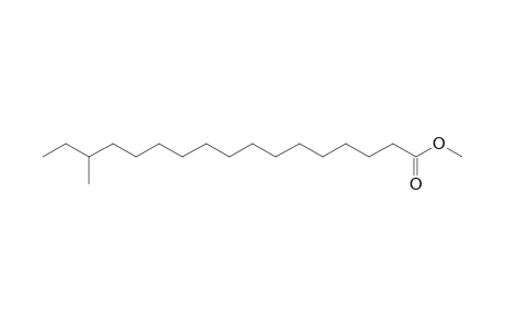 Heptadecanoic acid, 15-methyl-, methyl ester