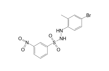 m-nitrobenzenesulfonic acid, 2-(4-bromo-o-tolyl)hydrazide