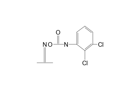 acetone, O-[(2,3-dichlorophenyl)carbamoyl]oxime