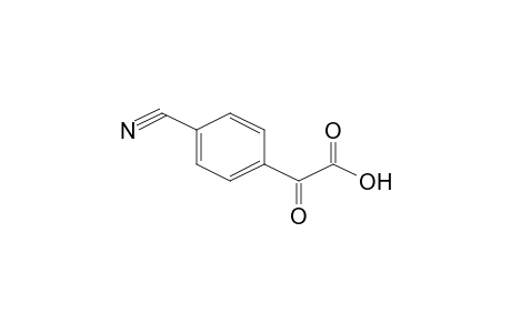 BENZENEACETIC ACID, 4-CYANO-alpha-OXO-