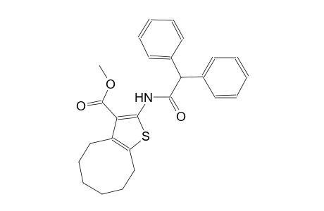 methyl 2-[(diphenylacetyl)amino]-4,5,6,7,8,9-hexahydrocycloocta[b]thiophene-3-carboxylate