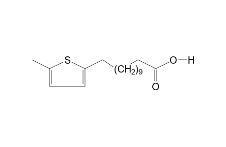 12-(5-METHYL-2-THIENYL)DODECANOIC ACID