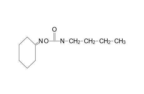 cyclohexanone, O-(butylcarbamoyl)oxime