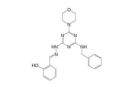 2-Hydroxybenzaldehyde [4-(benzylamino)-6-(4-morpholinyl)-1,3,5-triazin-2-yl]hydrazone