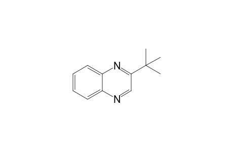 2-(t-Butyl)-quinoxaline