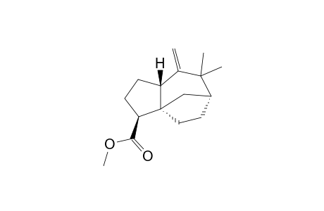 METHYL-ZIZA-6(13)-EN-12-OATE