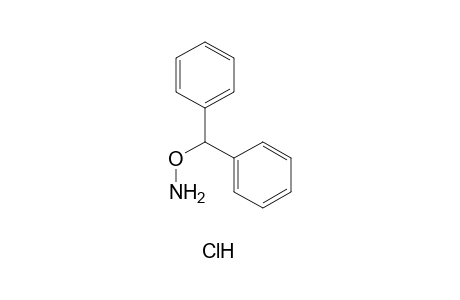 o-(diphenylmethyl)hydroxylamine, hydrochloride