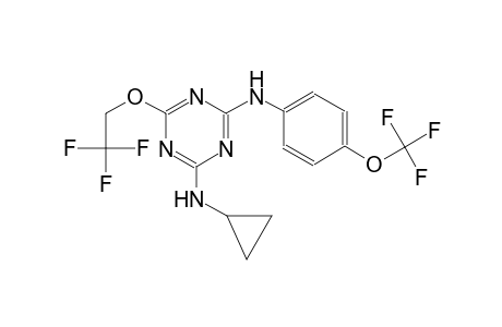 2-N-cyclopropyl-6-(2,2,2-trifluoroethoxy)-4-N-[4-(trifluoromethoxy)phenyl]-1,3,5-triazine-2,4-diamine