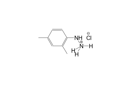 2,4-Dimethylphenylhydrazine hydrochloride