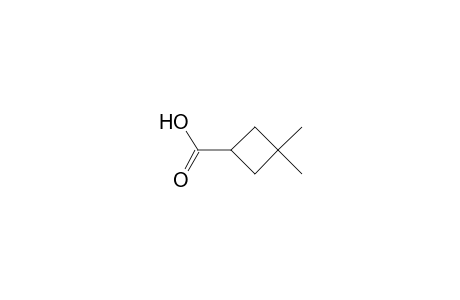 Cyclobutanecarboxylic acid, 3,3-dimethyl-