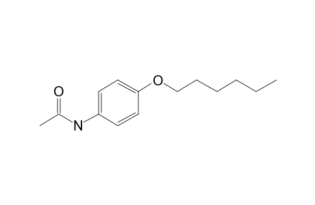 N-[4-(Hexyloxy)phenyl]acetamide