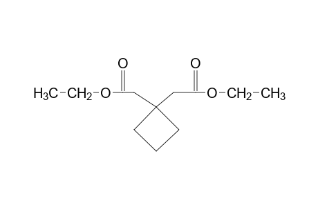 1,1-cyclobutanediacetic acid, diethyl ester