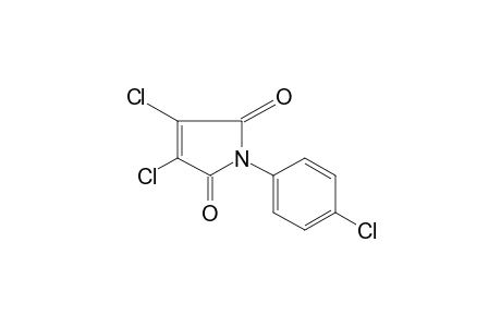N-(p-chlorophenyl)-2,3-dichloromaleimide