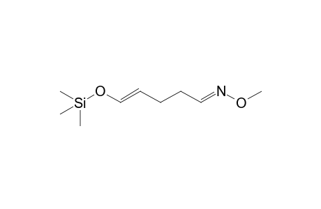 Glutaraldehyde, 1TMS, 1MEOX