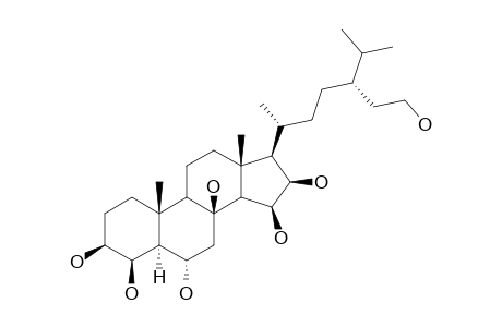 CERTONARDOSTEROL_P1