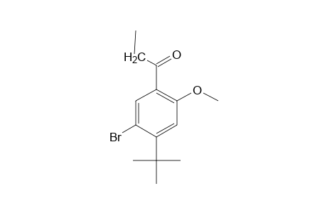 5'-bromo-4'-tert-butyl-2'-methoxypropiophenone