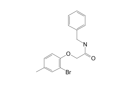 N-Benzyl-2-(2-bromo-4-methylphenoxy)acetamide