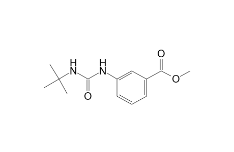 m-(3-tert-butylureido)benzoic acid, methyl ester