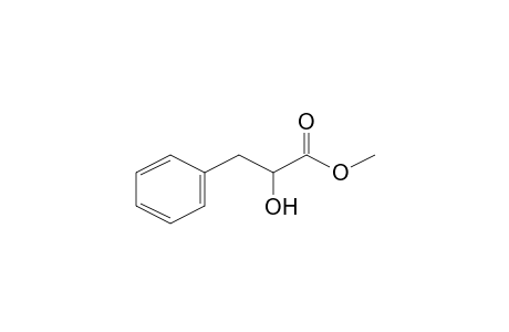 PAPULINE