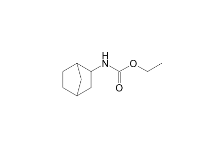 2-norbornanecarbamic acid, ethyl ester