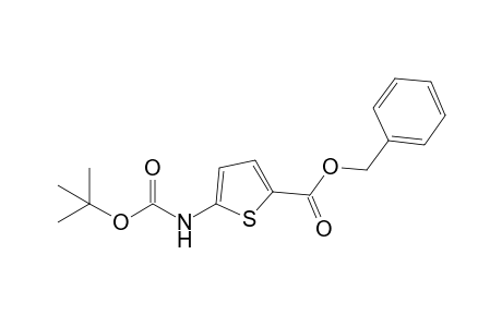 5-(tert-butoxycarbonylamino)thiophene-2-carboxylic acid benzyl ester