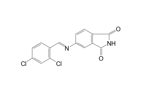 5-([(E)-(2,4-Dichlorophenyl)methylidene]amino)-1H-isoindole-1,3(2H)-dione