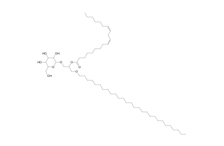 MGDG O-28:0_19:2