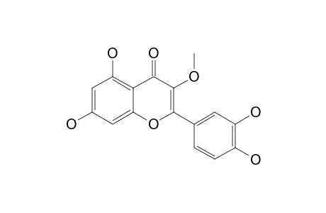 3-O-METHYL-QUERCETIN