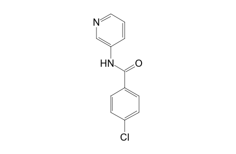 p-chloro-N-(3-pyridyl)benzamide