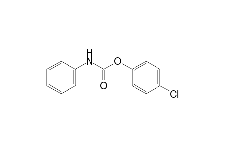 carbanilic acid, p-chlorophenyl ester