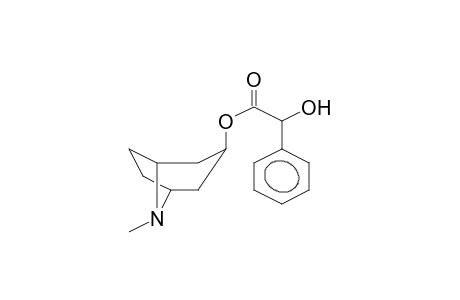 Homatropine