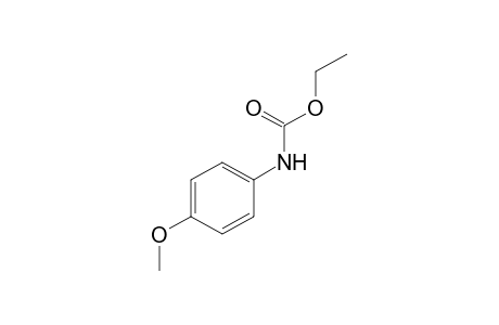 p-methoxycarbanilic acid, ethyl ester