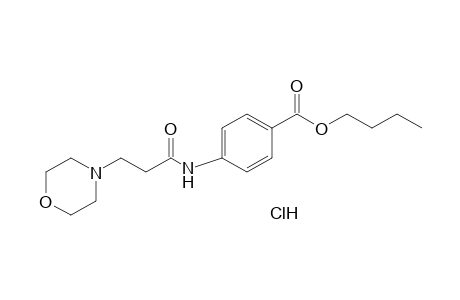 p-(3-morpholinopropionamido)benzoic acid, butyl ester, hydrochloride