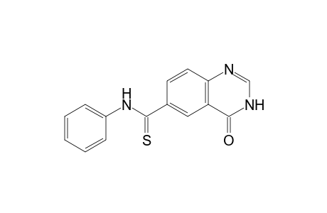 6-(PHENYLAMINOTHIOCARBONYL)-3-H-QUINAZOLIN-4-ONE