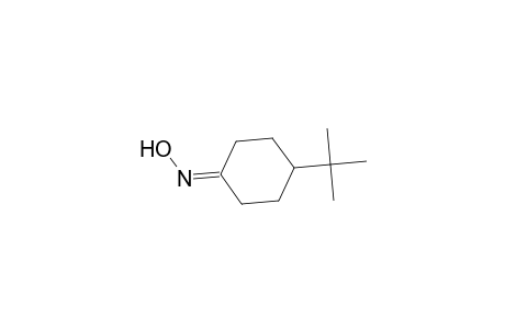 PARA-TERT.-BUTYL-CYCLOHEXANE-KETOXIME