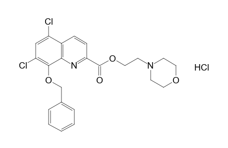 8-(benzyloxy)-5,7-dichloroquinaldic acid, 2-morpholinoethyl ester, monohydrochloride