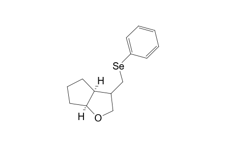 4-[(Phenylseleno)methyl]-2-oxabicyclo[3.3.0]octane