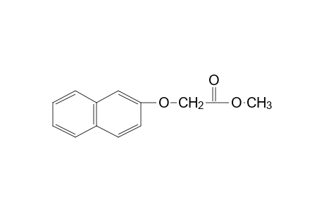 (2-Naphthyloxy)-acetic acid, methyl ester