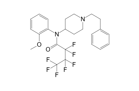 N-(2-Methoxyphenyl)-1-(2-phenylethyl)piperidin-4-amine hfb