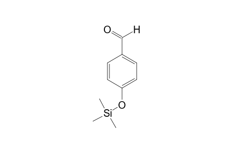 4-[(Trimethylsilyl)oxy]benzaldehyde