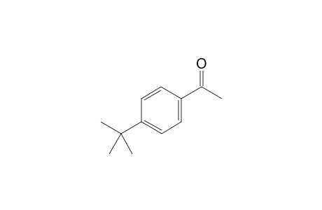 4'-tert-Butyl-acetophenone